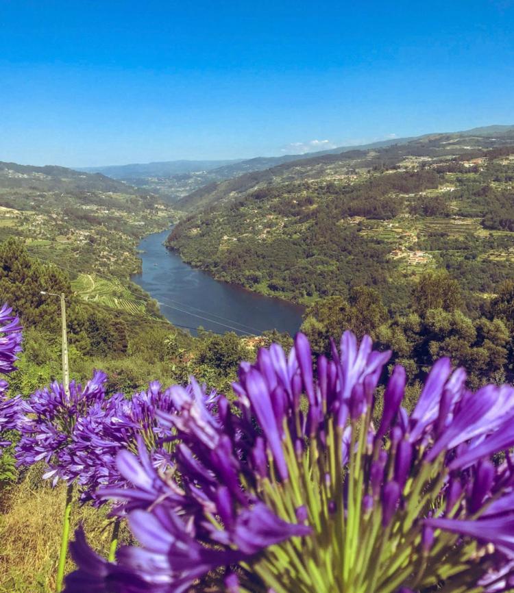 Mira Douro Valley Home Marco de Canavezes Zewnętrze zdjęcie
